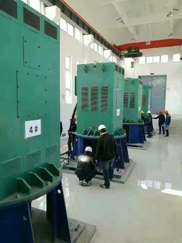 嘉陵某污水处理厂使用我厂的立式高压电机安装现场生产厂家