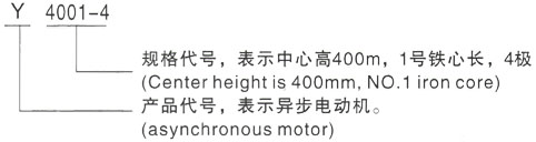 西安泰富西玛Y系列(H355-1000)高压嘉陵三相异步电机型号说明